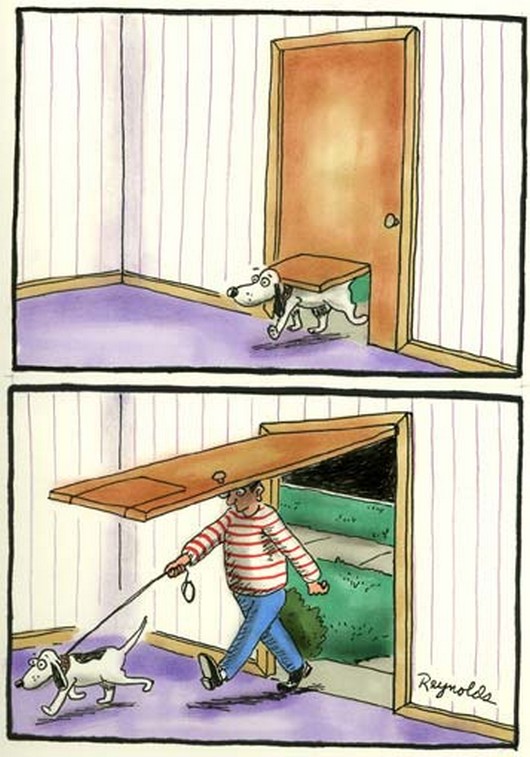 530x757, 100 Kb / собака, хозяин собаки, дверца для собак