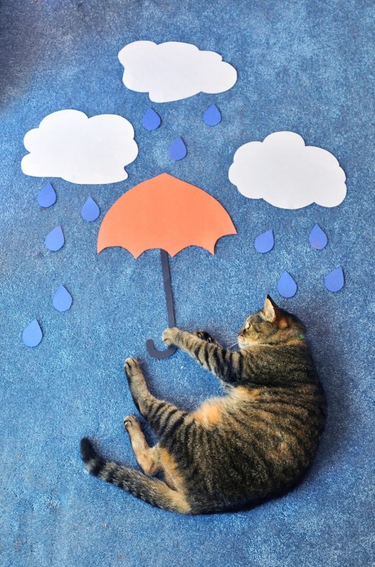 534x807, 200 Kb / кот, тучи, зонтик, полет, дождь