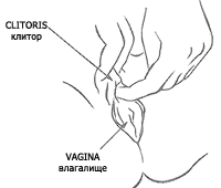 200x170, 4 Kb / где искать клитор