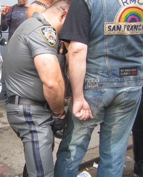 493x612, 67 Kb / пидорас, сан-франциско, моча, радуга