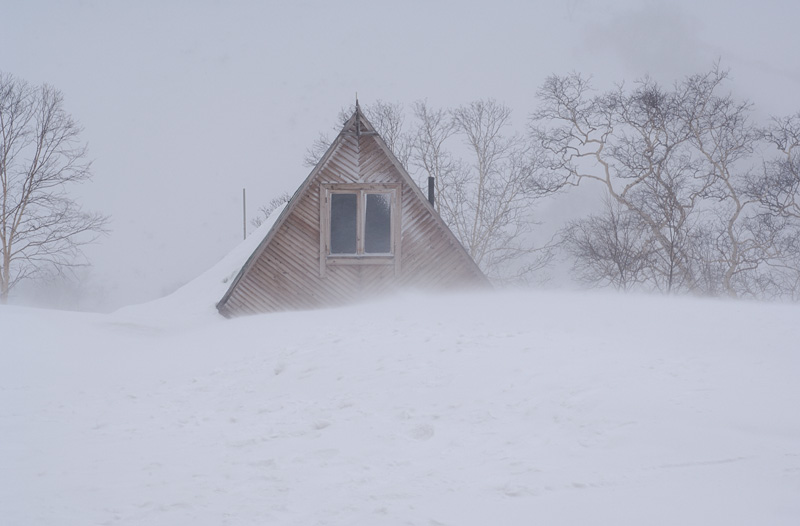 800x526, 101 Kb / лес, изба