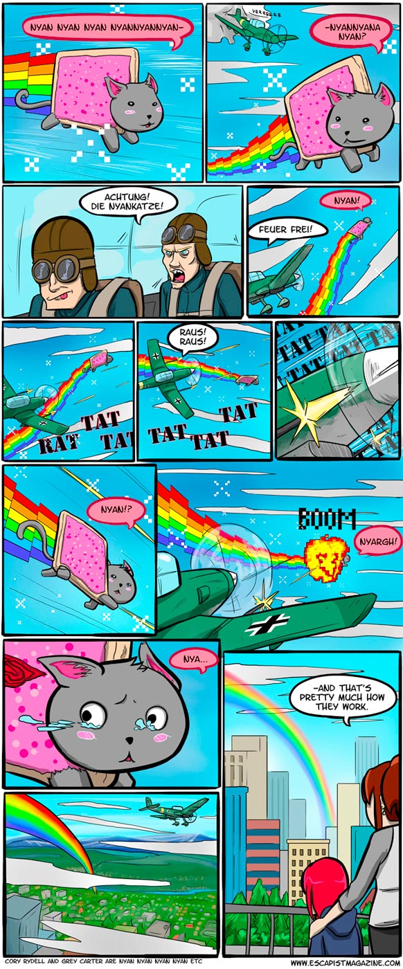 582x1400, 248 Kb / nyan, nyan cat, cat