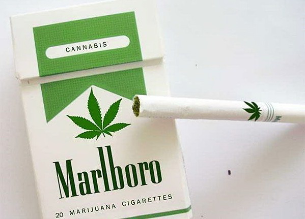 599x431, 65 Kb / пачка, сигарета, трава