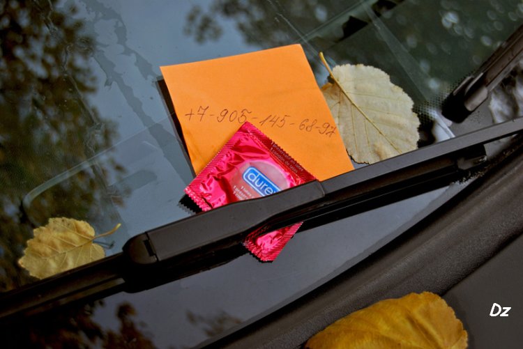 750x501, 71 Kb / презик, дворник