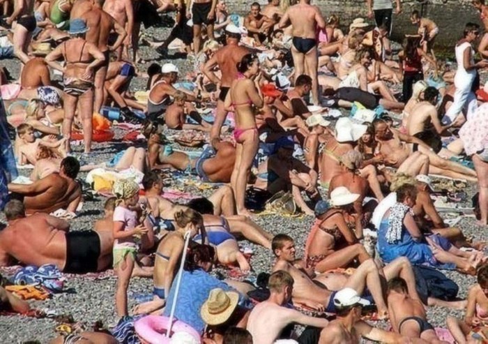 700x493, 149 Kb / пляж, люди, животное