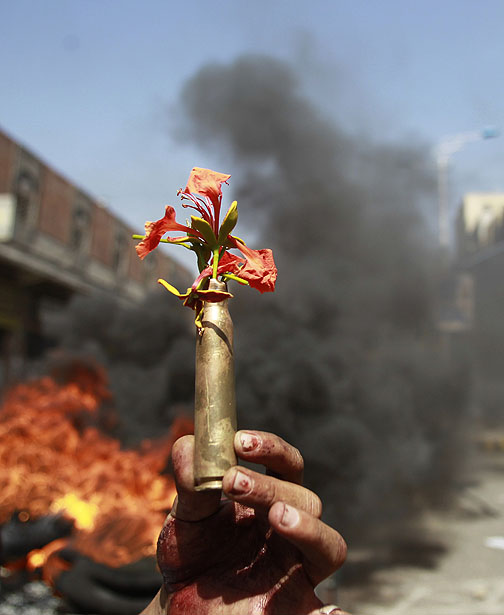 504x615, 64 Kb / цветок, гильза