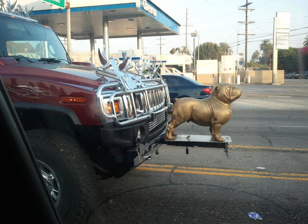 987x719, 231 Kb / джип, собака