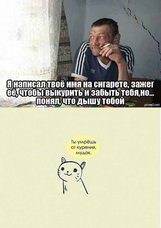 530x749, 174 Kb / курение, философия, мудак, кот, котик, сигарета