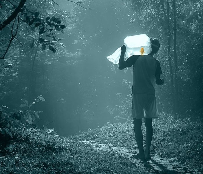 700x601, 108 Kb / золотая, рыбка