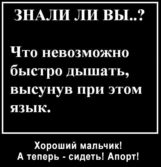532x554, 55 Kb / апорт