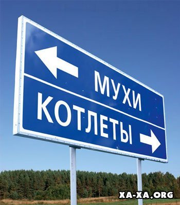 350x400, 30 Kb / мухи, котлеты, указатель