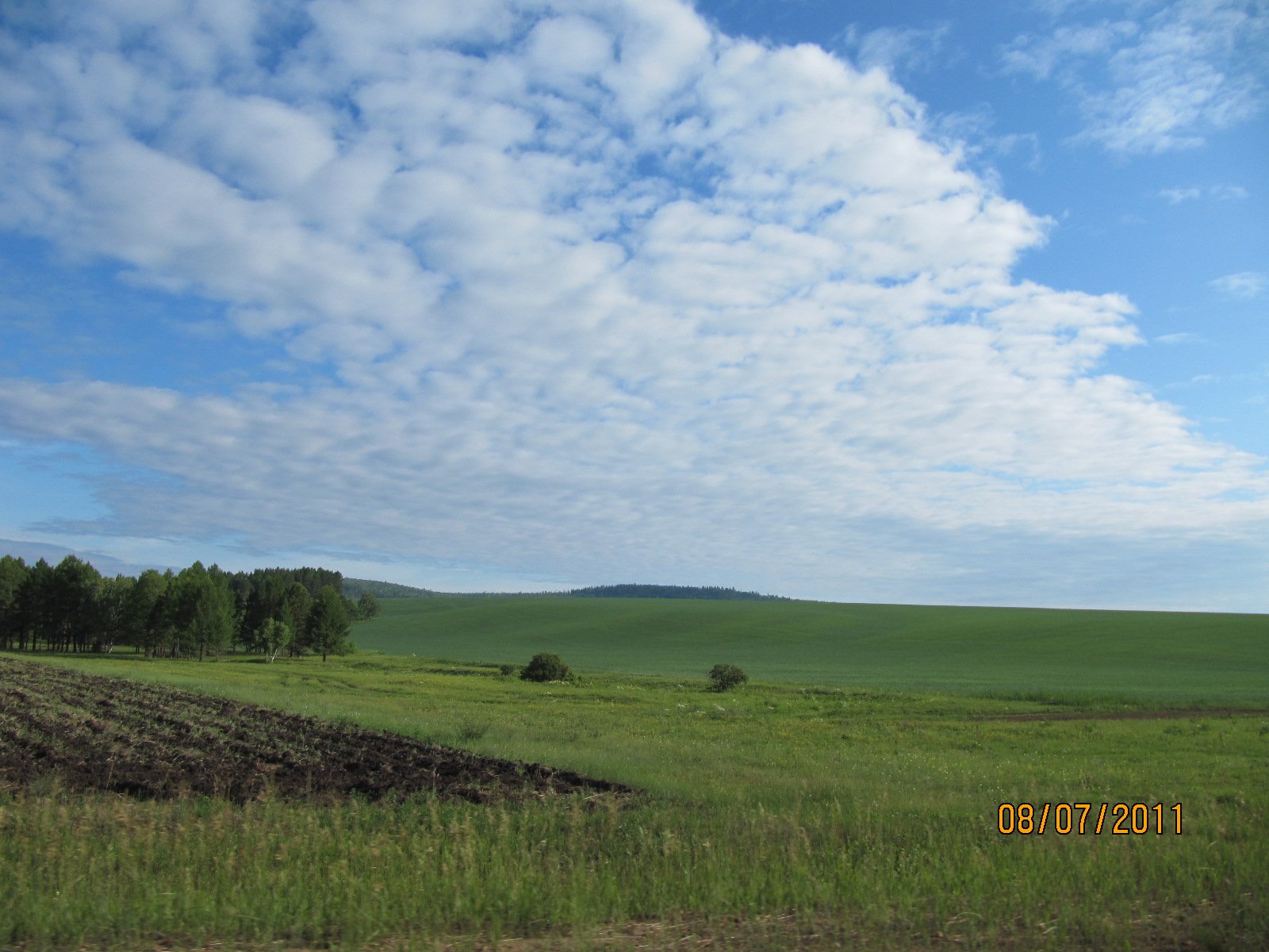 1600x1200, 269 Kb / лес, поле, тайга, сибирь