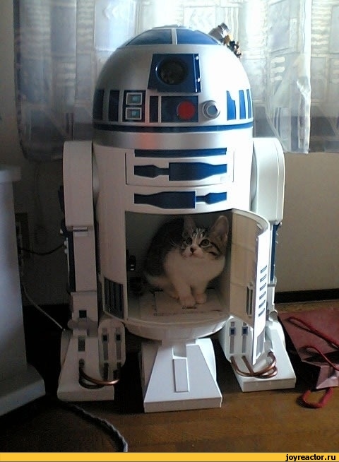 480x654, 93 Kb / робот, r2d2, котэ, кот, зв, звёздные войны, sw, star wars