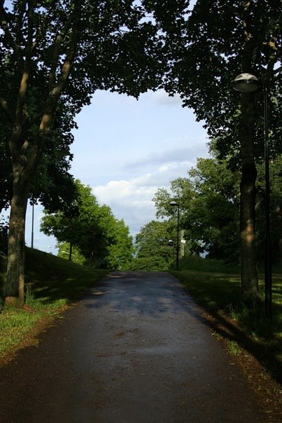 403x604, 65 Kb / Дорога,деревья,Сердце,Небо