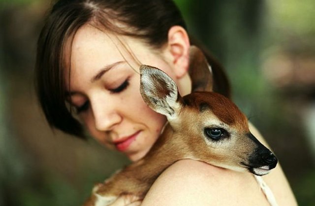 640x418, 37 Kb / девушка, оленёнок