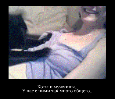 377x325, 216 Kb / анимация, топик, гиф