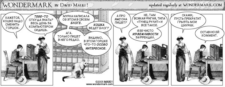 720x278, 92 Kb / комикс, кошка, блог