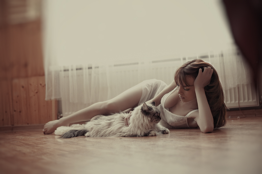 900x600, 209 Kb / девушка, кот, пол, сепия