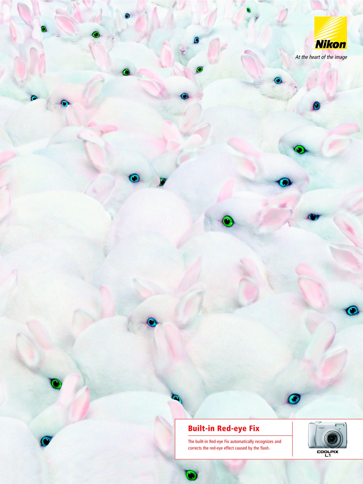 1200x1600, 448 Kb / никон, фотоаппарат, красные глаза, кролики