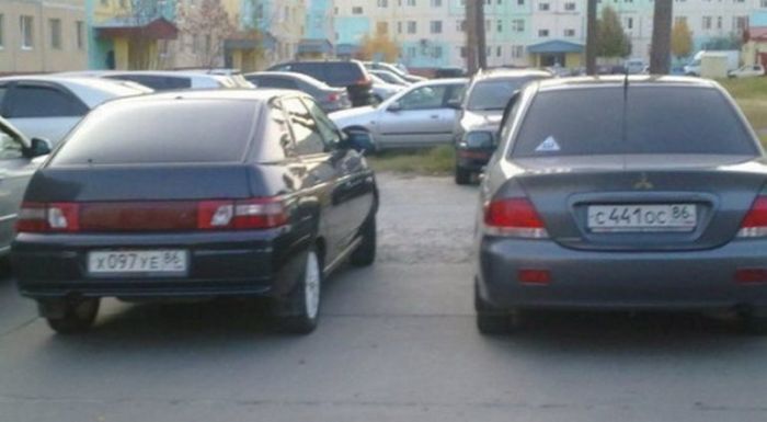 700x385, 33 Kb / авто, номера