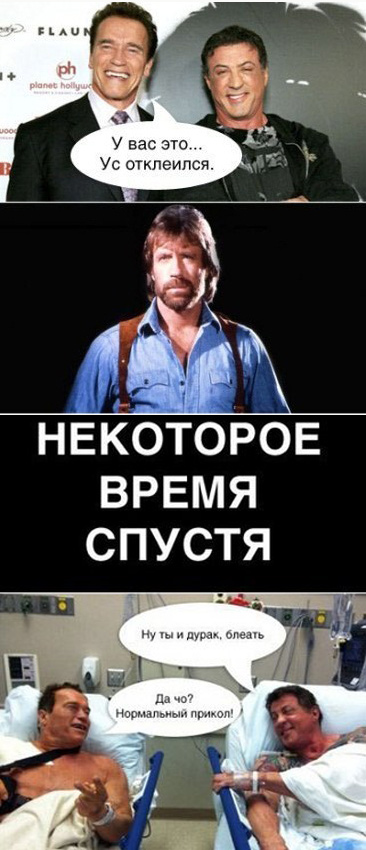 366x850, 111 Kb / больница, Сильвестр Сталлоне, Арнольд Шварценеггер, Чак Норрис