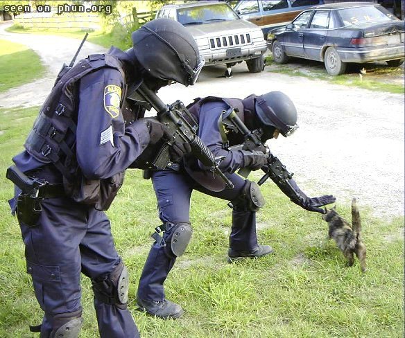 584x488, 98 Kb / спецназ