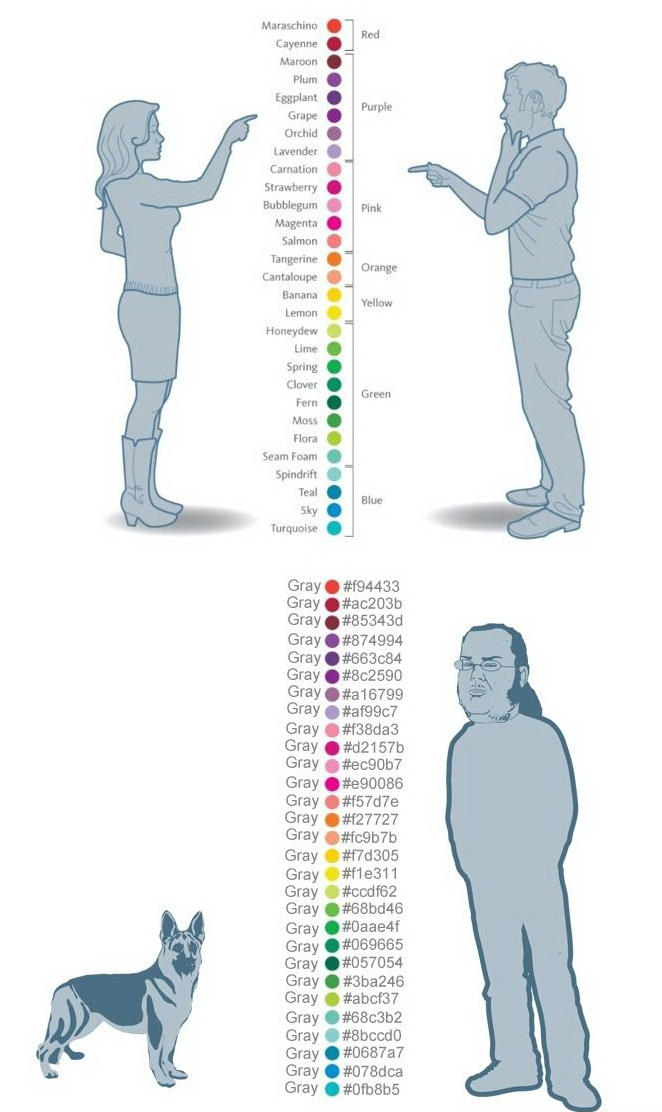 662x1112, 133 Kb / цвета, люди, собака, различие