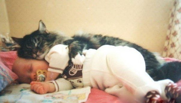 603x343, 52 Kb / кот, ребенок, сон