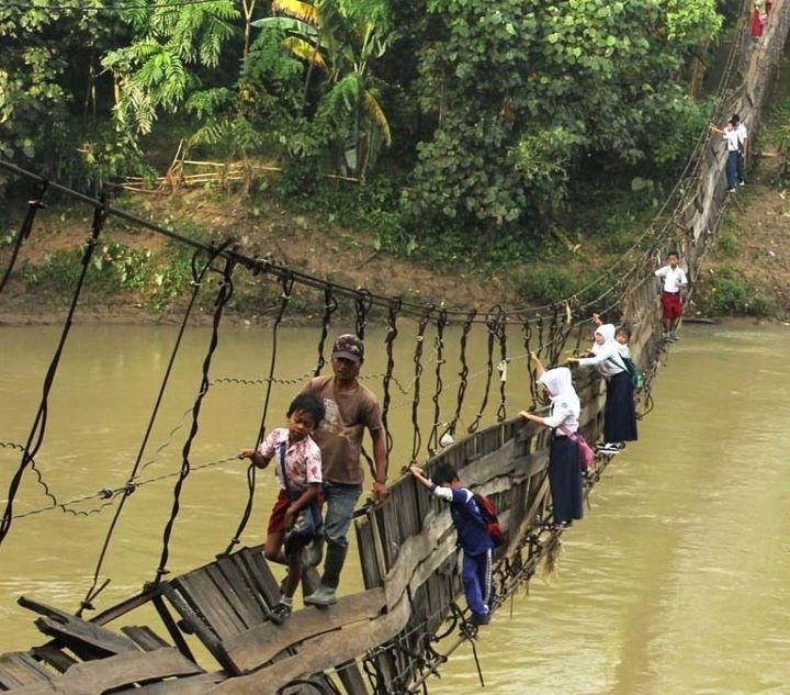 720x633, 106 Kb / мост, река, джунгли