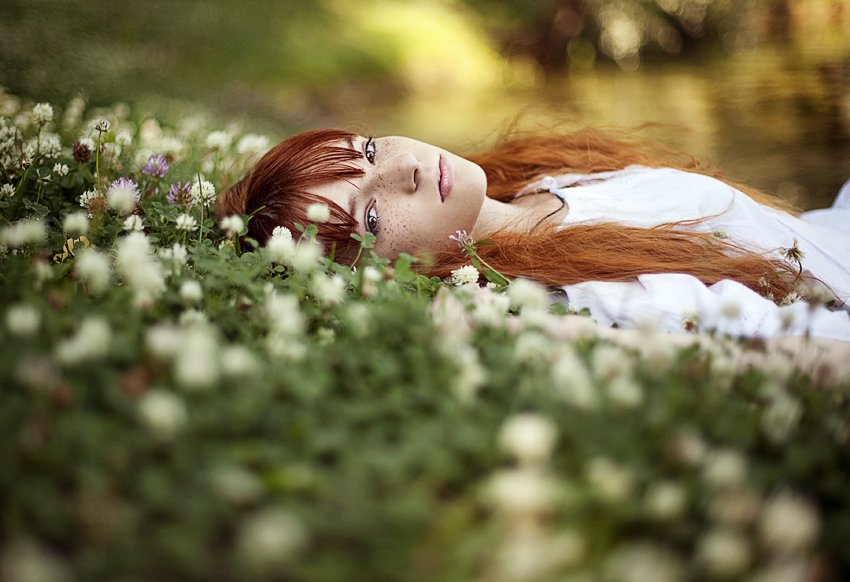 850x582, 80 Kb / рыжая, поле, цветы