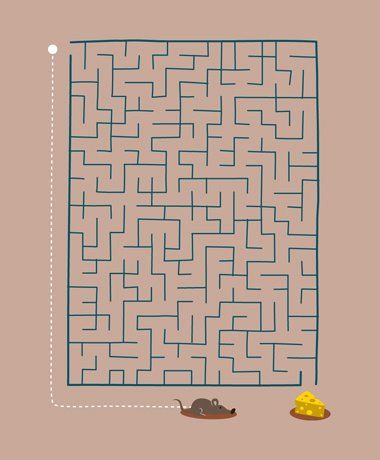 380x460, 23 Kb / лабиринт, сыр, мыш, крыс