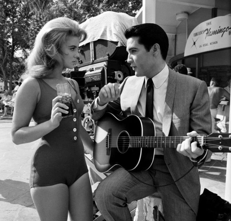 800x764, 99 Kb / элвис, гитара, блондинка