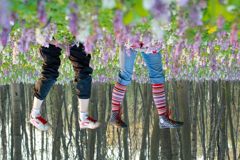 800x534, 293 Kb / Весна, ноги, цветы, вверх тормашками