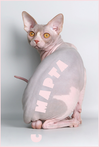 404x600, 59 Kb / яйца, котэ, колокольчики, 8 марта