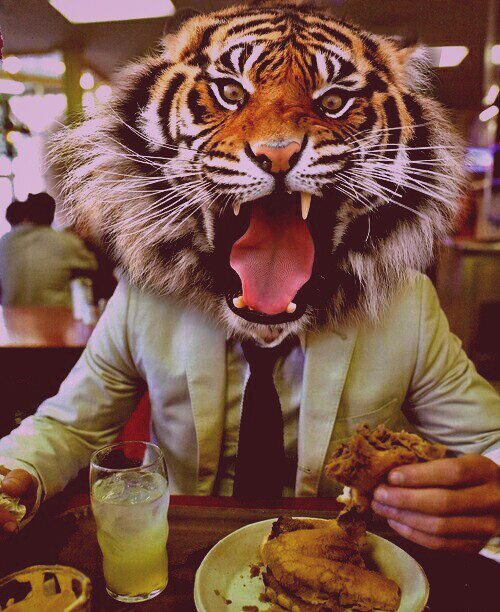 500x612, 85 Kb / тигр, еда, белый пиджак