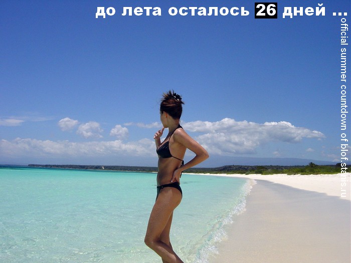 700x525, 78 Kb / пляж, море, лето