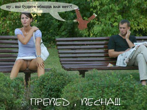 500x375, 43 Kb / превед, весна, секс, девушка, парень, парк, медвед