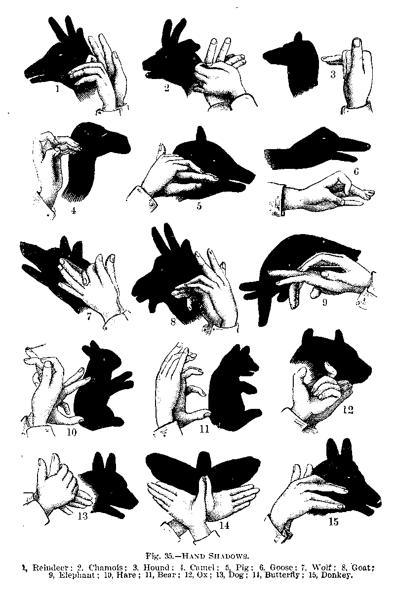 800x1211, 30 Kb / руки, тени, животные