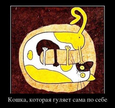 400x375, 30 Kb / кошка, прогулка, сама по себе