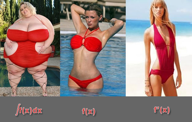 626x400, 59 Kb / интеграл, функция, производная