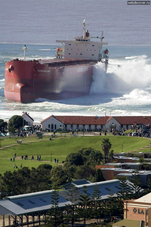 512x771, 144 Kb / танкер, море, город, дома