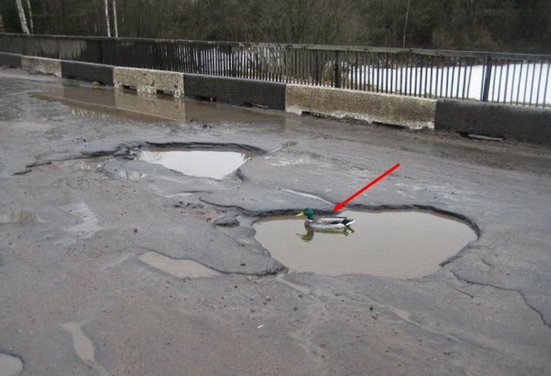 797x545, 79 Kb / дорога, яма, лужа, утка