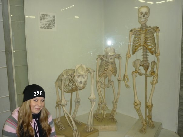 604x452, 37 Kb / эволюция, скелеты