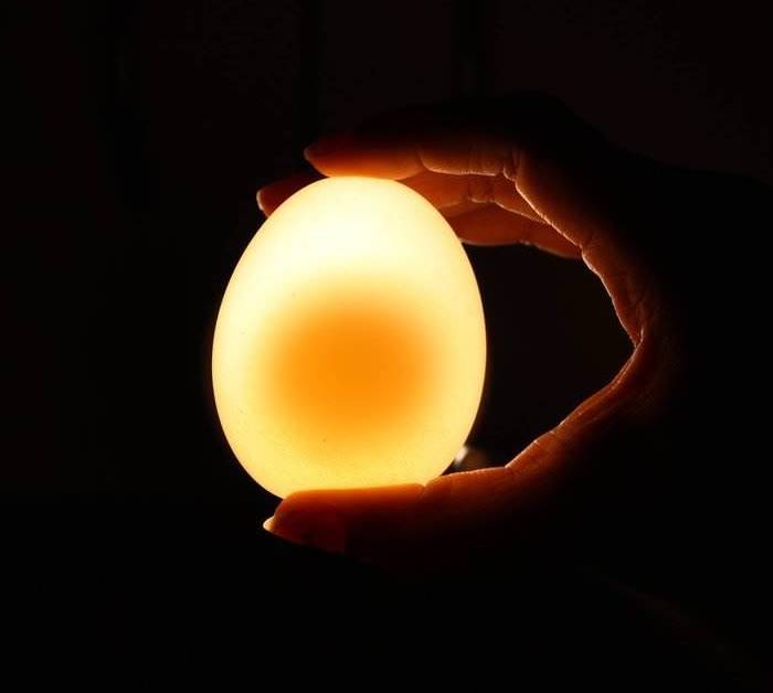 700x628, 16 Kb / яйцо, рука, свет, черное