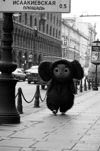 401x604, 60 Kb / чебурашка, питер