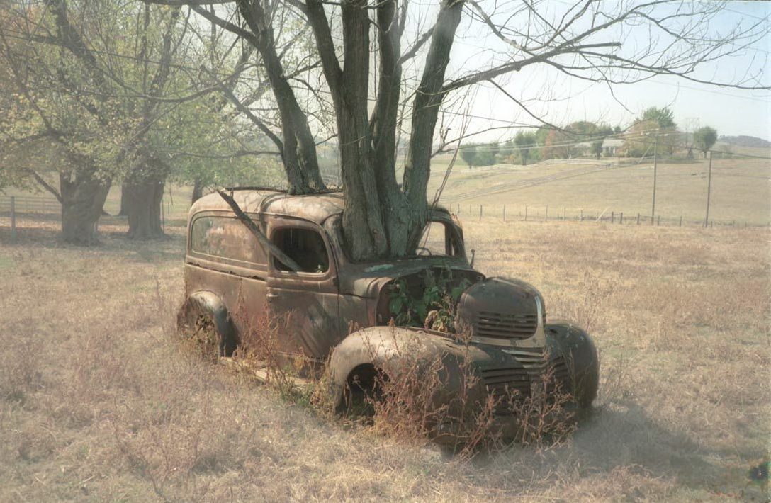 1088x710, 295 Kb / дерево, автомобиль