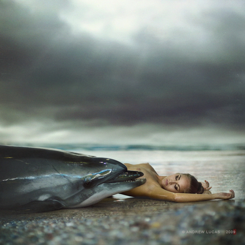 780x780, 292 Kb / дельфин, пляж