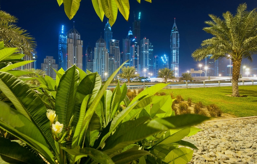 1000x638, 255 Kb / город, листья, Дубаи, вечер