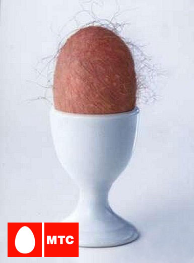 385x520, 48 Kb / яйцо, мтс