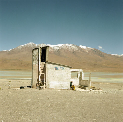 500x499, 39 Kb / туалет, пустыня